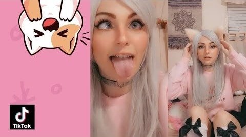 Kawaii kitty on tiktok