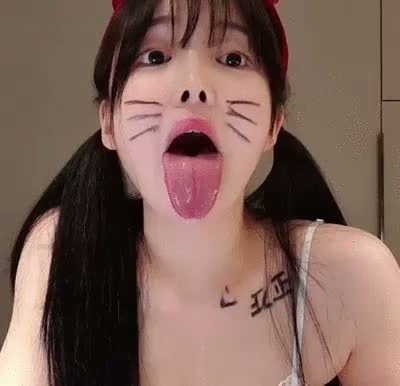 Adorable kitty